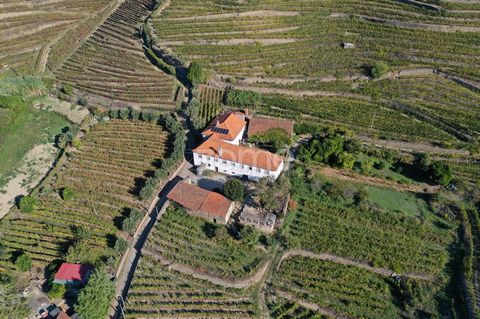 Identificação do imóvel: ZMPT565529 Welcome to Quinta de Cima in Vila Cova, set in the stunning landscapes of the Douro wine region. Mesão Frio is an idyllic hideaway in the heart of the Douro vineyards, home to a charming quinta that conveys a sense...