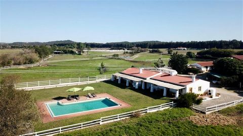 The property is a Rural Tourism retreat designed for nature tourism, featuring an Equestrian Center equipped with high-quality facilities tailored to the specific needs of competition horses. The region’s mild climate and the year-round availability ...