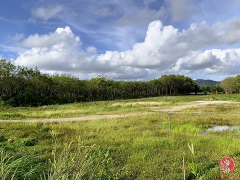 6.5 rai of prime location near Natai Beach is for sale in Khok Kloi, Phang Nga. The plot is flat and of good size, with rectangle-shaped land. The width next to the public road is approximately 51 meters, and the length is approximately 165 meters. L...