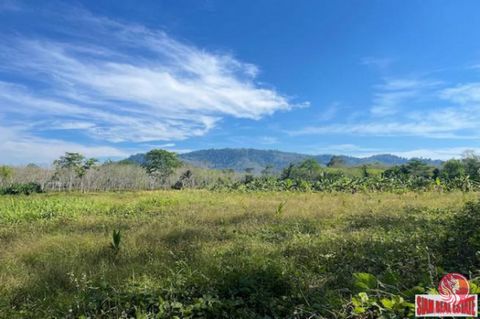 A land plot of 6 Rai with mountain views and close to Natai Beach for sale in Takua Tung, Phang Nga. This plot is available on a title deed. There is a 6-meter public road that reaches to the plot. The plot has a width approximately 58 meters next to...