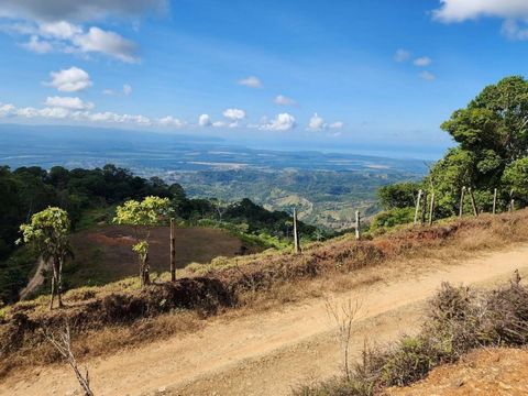 Discover an unparalleled investment opportunity in the heart of Puntarenas, Costa Rica. This stunning 24-hectare property offers breathtaking views of the Pacific Ocean, the majestic Mount Chirripó, and lush valleys. Located between Ojochal and Palma...