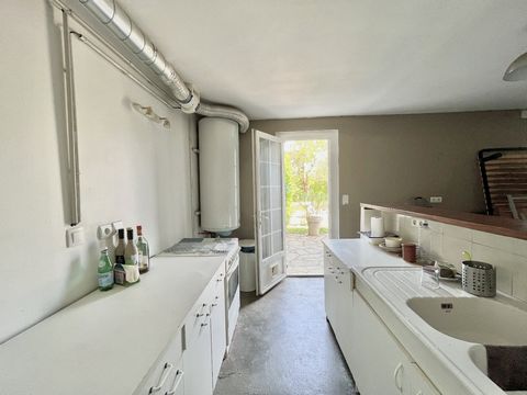 photo no. 12