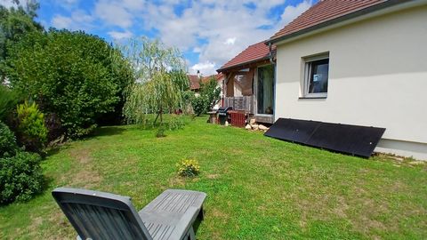 photo no. 11