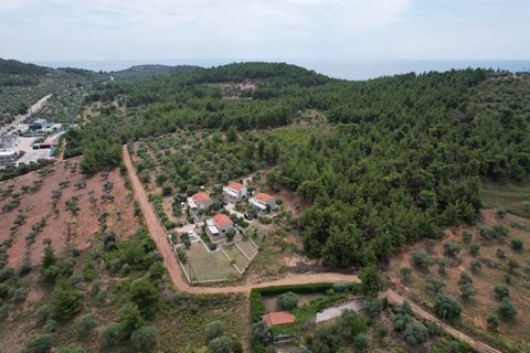 Property Code. 11500 - Agricultural FOR SALE in Thasos Astrida for € 150.000 . Discover the features of this 5586 sq. m. Agricultural: Distance from sea 320 meters, facade length: 71 meters, depth: 76 meters Agricultural land 5586 m2 in the Astris ar...