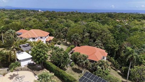  This multi-unit property presents a rare fixer-upper opportunity for investors or visionaries looking to renovate and add value. Featuring three self-contained studio units, this property offers strong rental potential or the flexibility for multi-f...