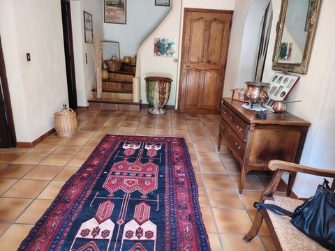 photo no. 17