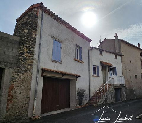 photo no. 10