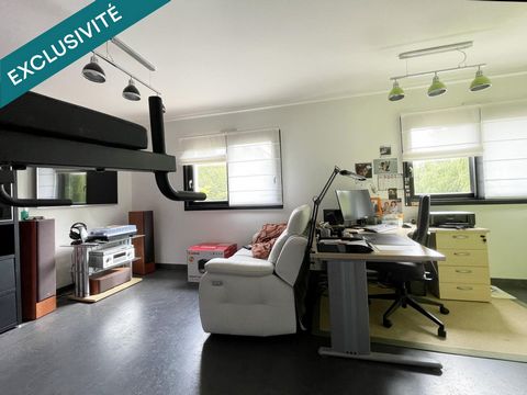 photo no. 15