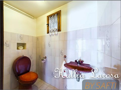 photo no. 12