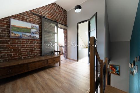 photo no. 12