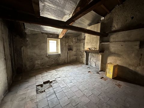 photo no. 12