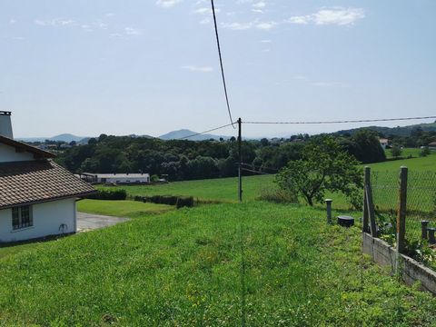 photo no. 4