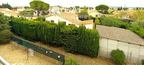 photo no. 7