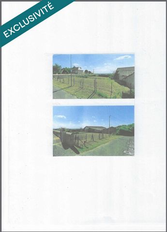 photo no. 6