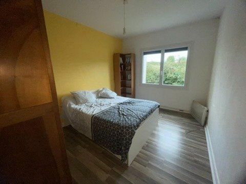 photo no. 19