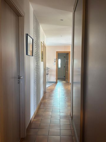 photo no. 9