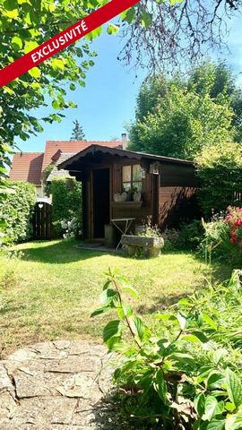 photo no. 12