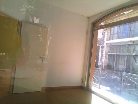 photo no. 4