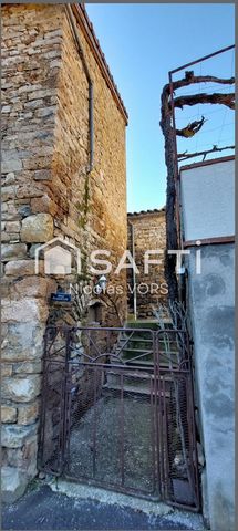 photo no. 11