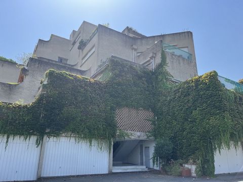 photo no. 16