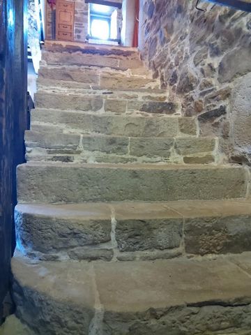 photo no. 18