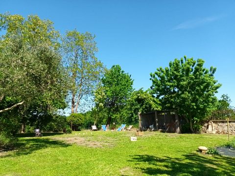 photo no. 17