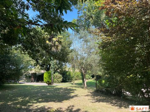 photo no. 2
