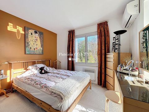 photo no. 9