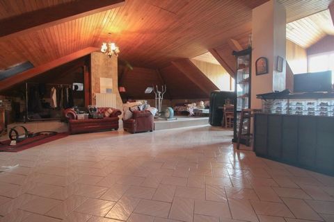 photo no. 15