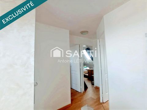 photo no. 11
