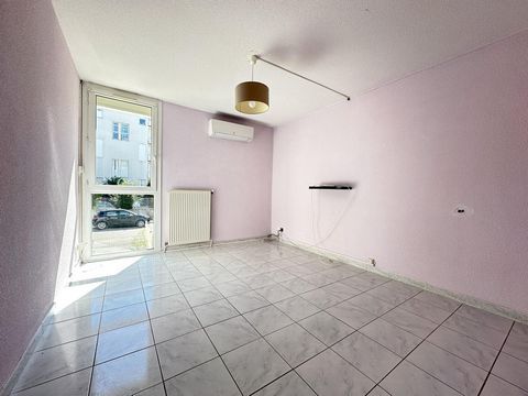 photo no. 12