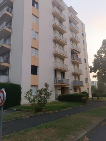 photo no. 11