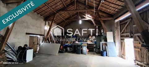 photo no. 6