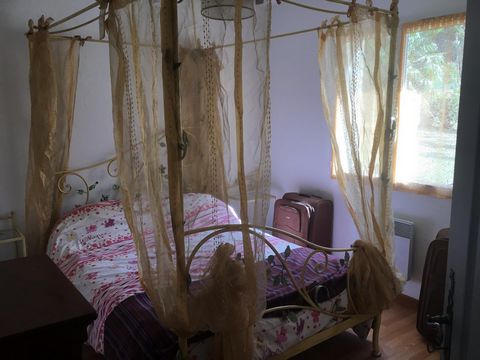 photo no. 5