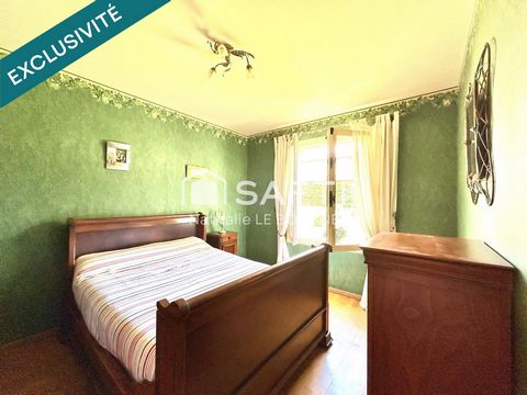 photo no. 6
