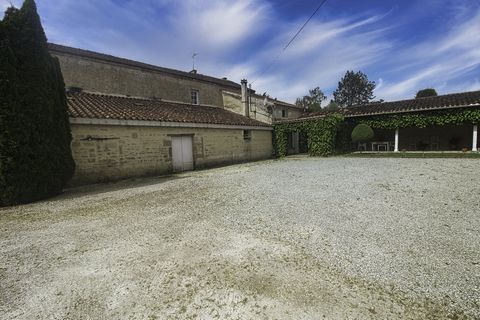 photo no. 12
