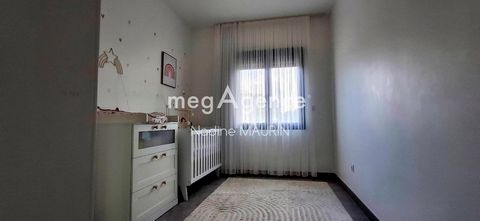 photo no. 9