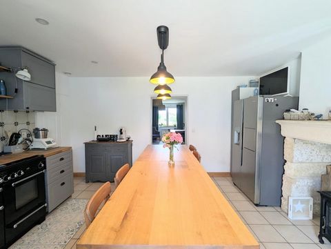 photo no. 12