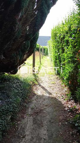 photo no. 9