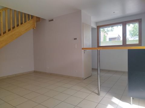 photo no. 5