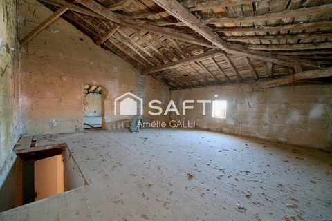 photo no. 11
