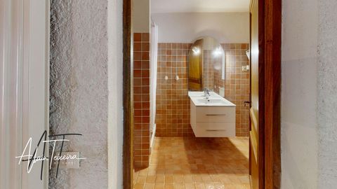 photo no. 12