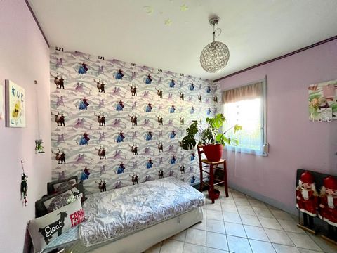photo no. 6