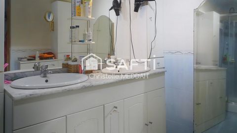 photo no. 7