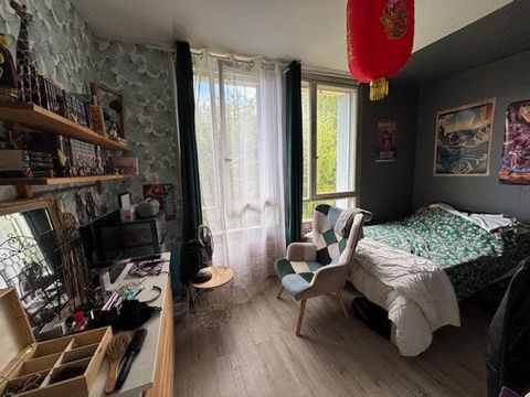 photo no. 7