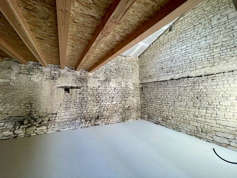 photo no. 15