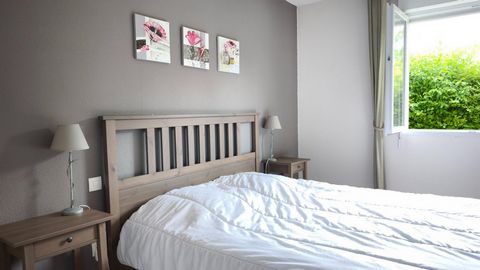 photo no. 11