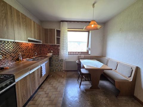 photo no. 5