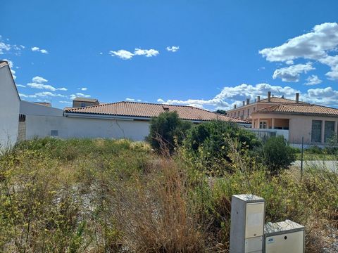 photo no. 2