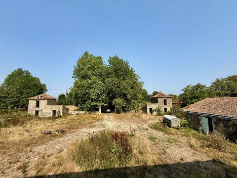 photo no. 17
